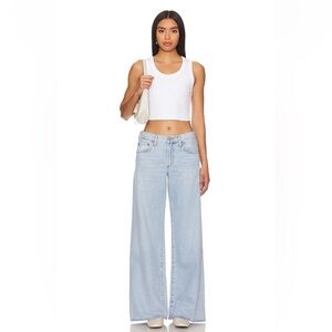 Size 23 Agolde Clara Low Rise Baggy Flare Jeans in Encounter